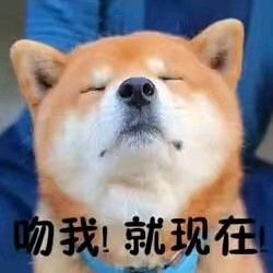 哎呦喂
