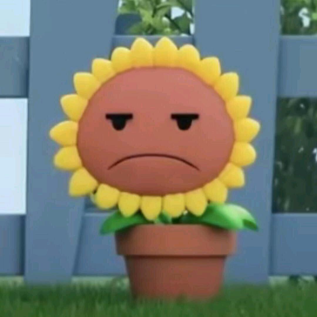 软件开发柠檬学哥