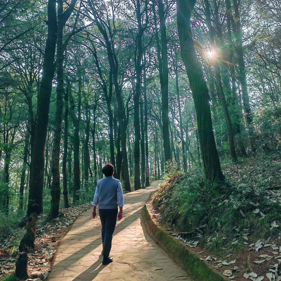 雾尽眉目清@JX⭐️☁️