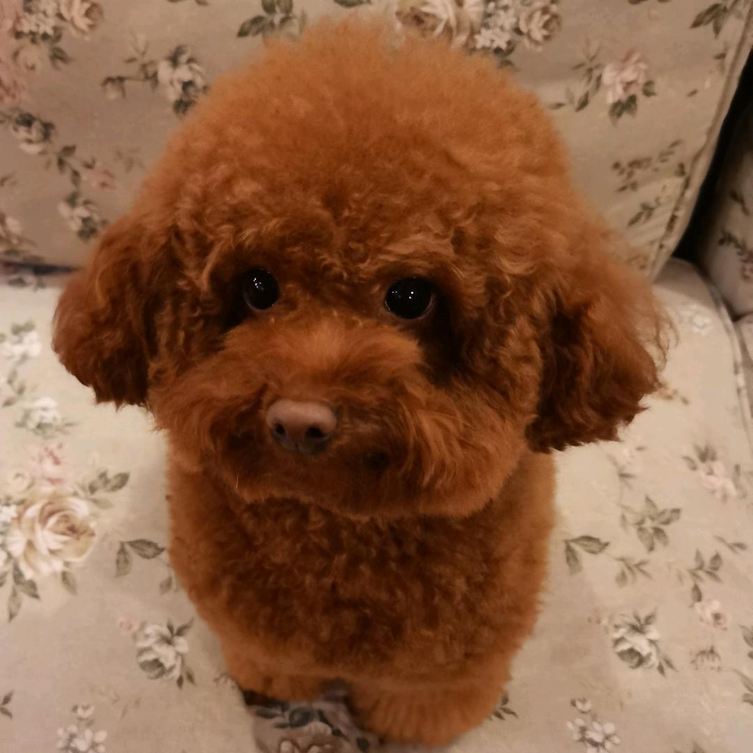 德