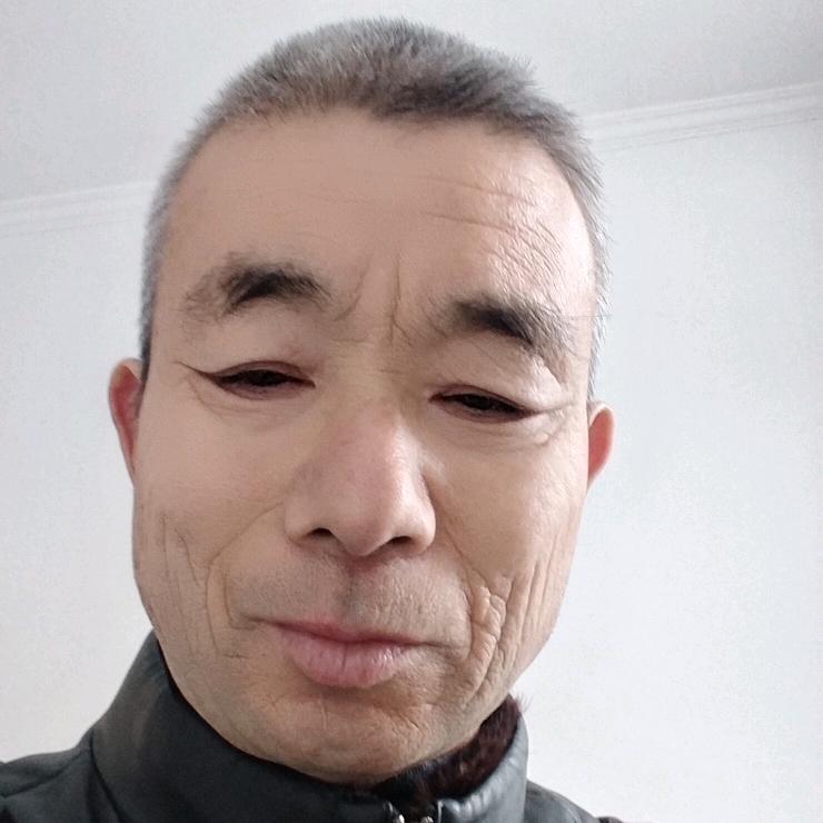 树立