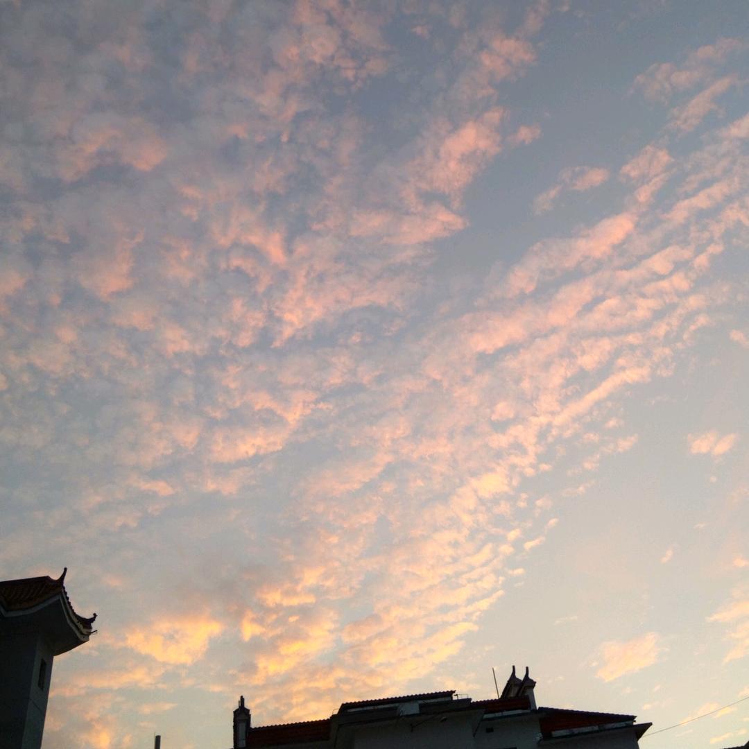 想去北方看秋天