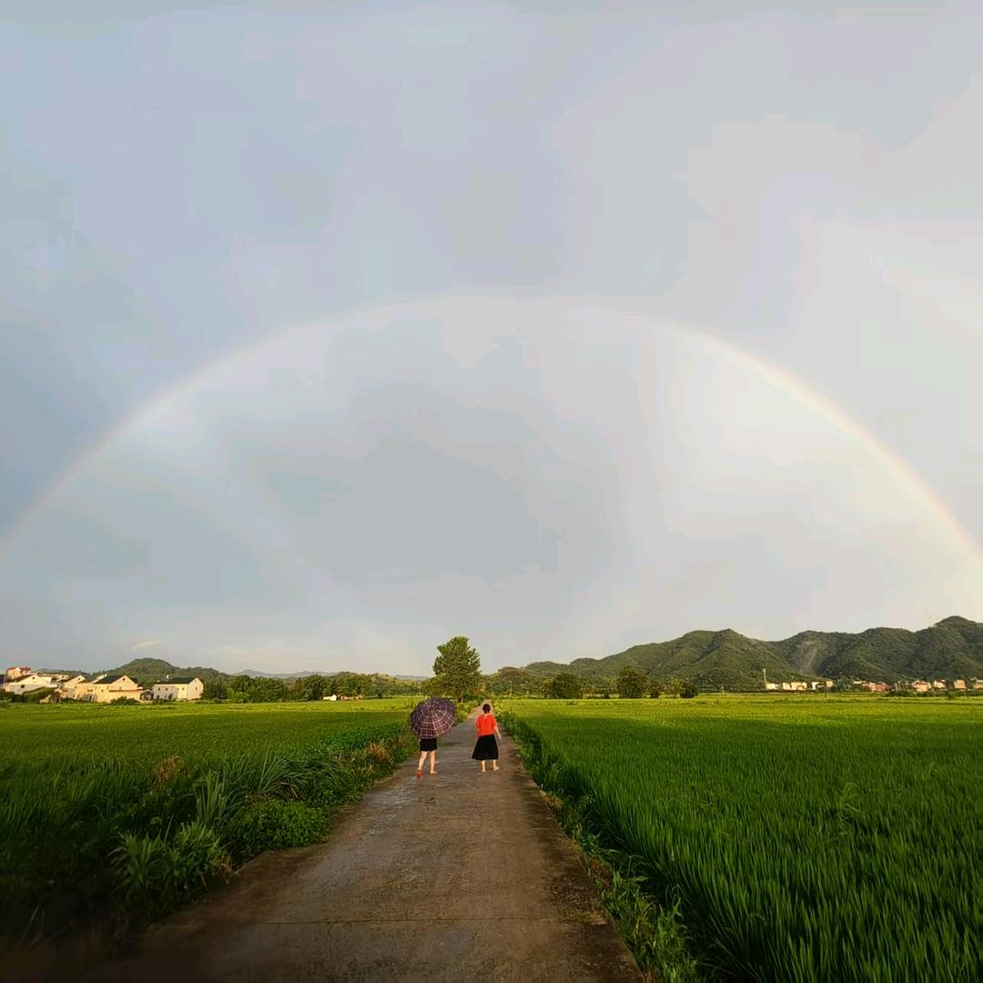 真喜门窗