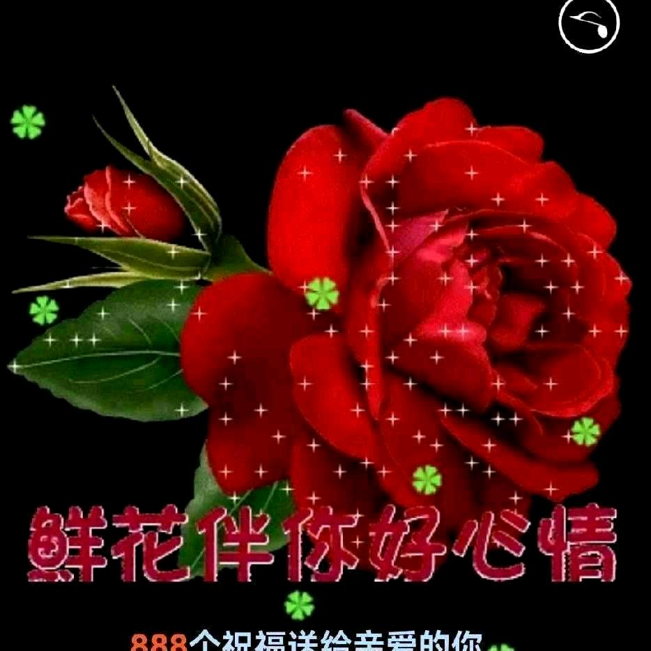 \独宠久伴