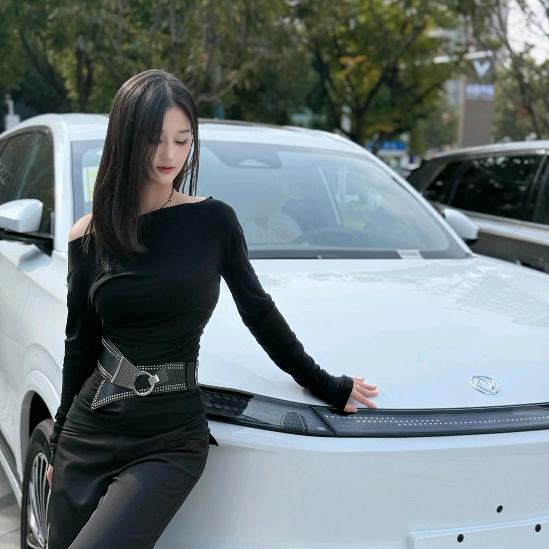 东风风神L8厂家直营店