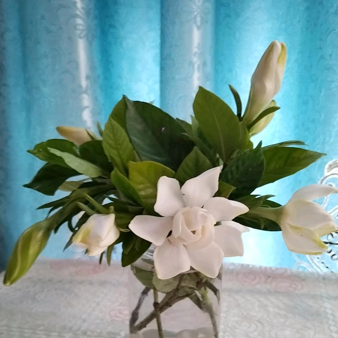 喝点就醉，聊天唱歌主播，