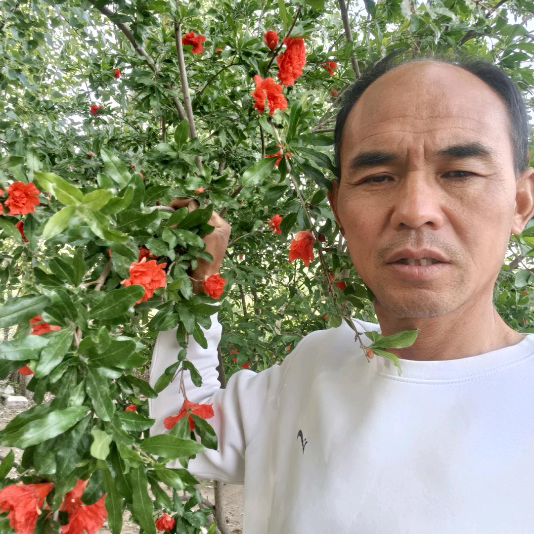 hU、自力、🌾🐓