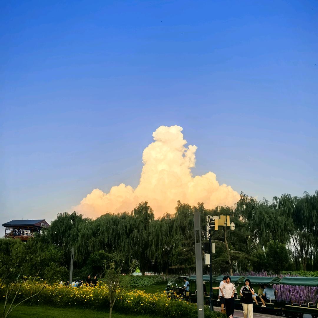 如意