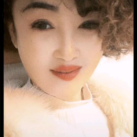 红蔷薇