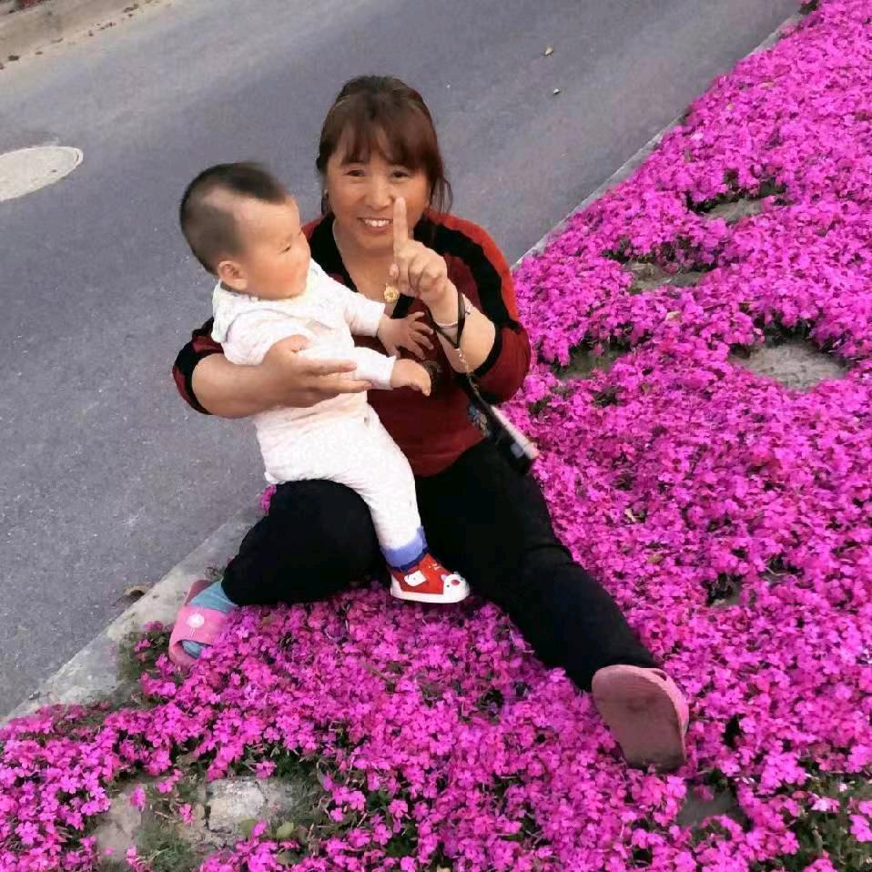 乐乐佳