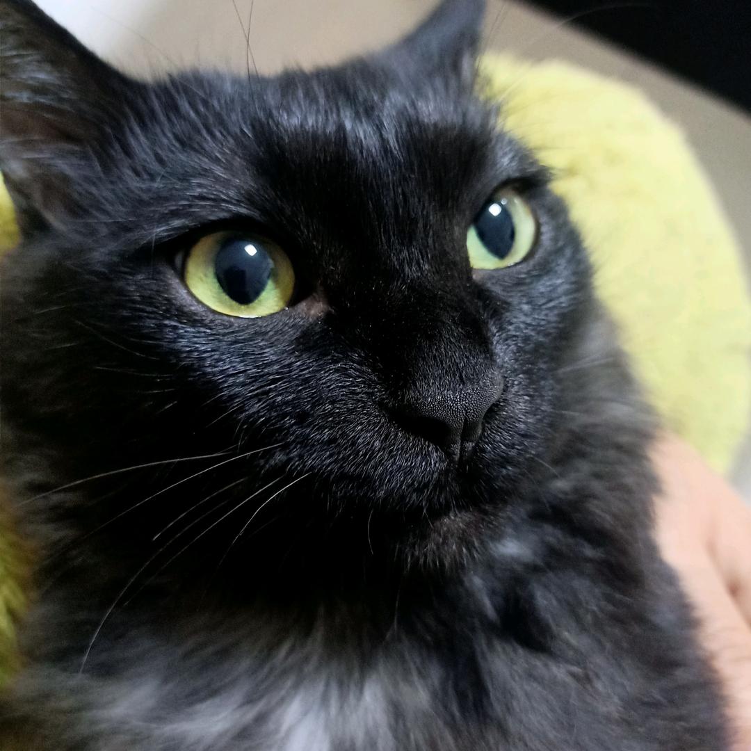 再去健身我就是小狗儿🐶