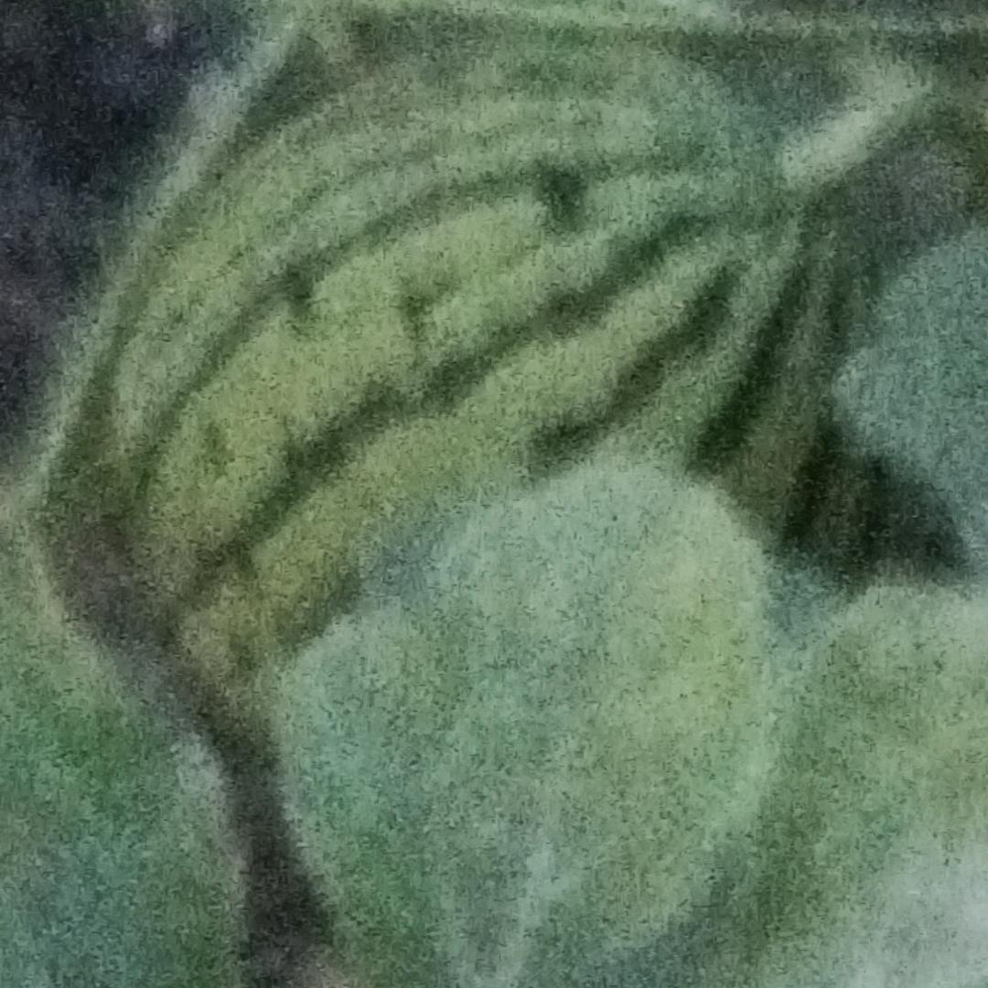 瓜果蔬菜基地
