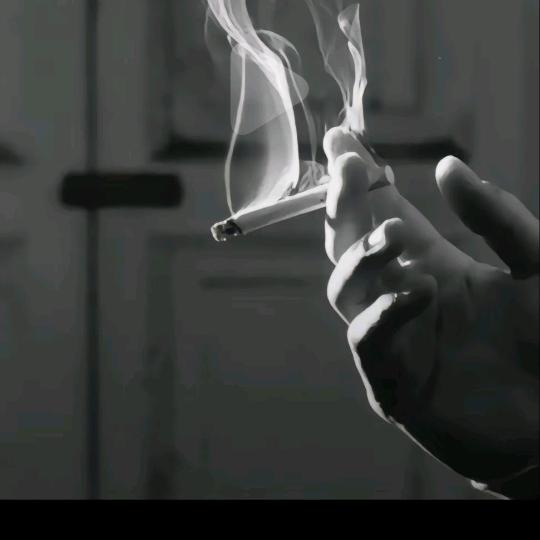虚伪的友情