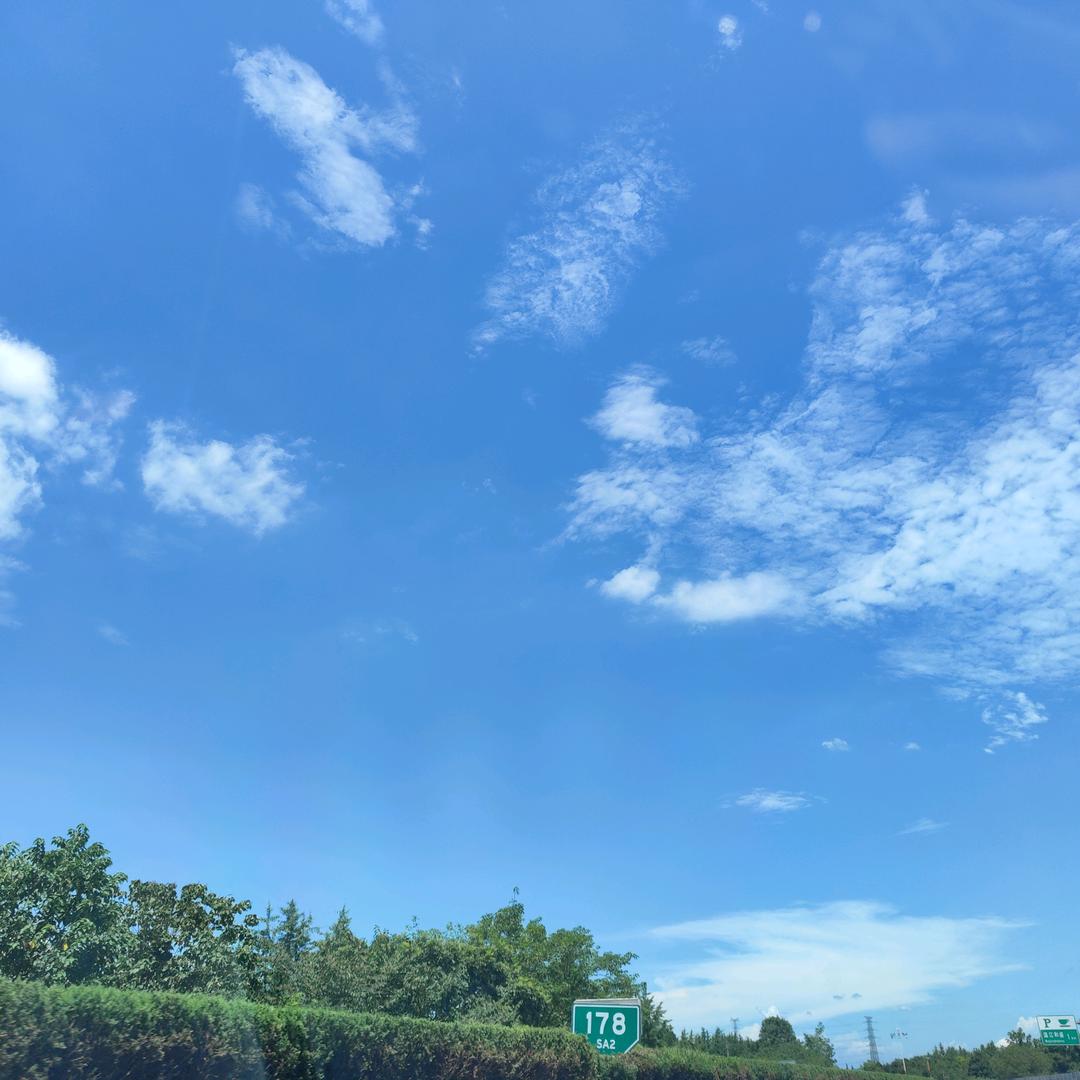 四川双哥））残疾）小号