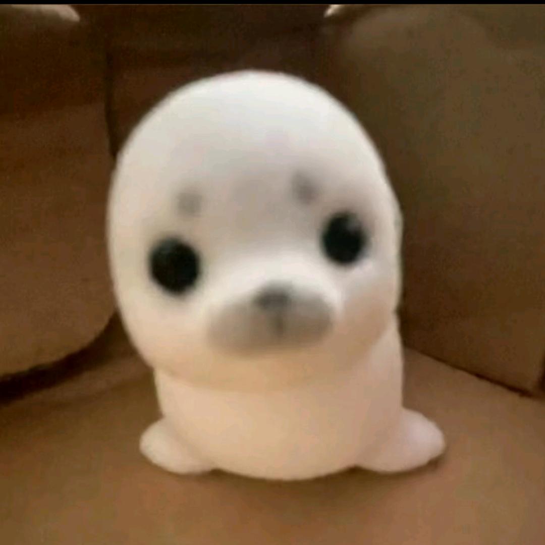 重生之我被考神附体了