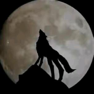 睡不着的泡泡糖