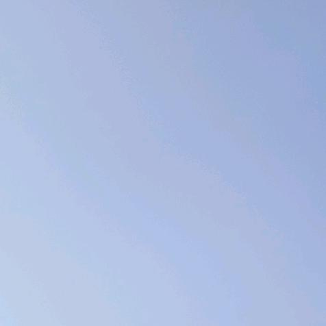 茶茶最夹