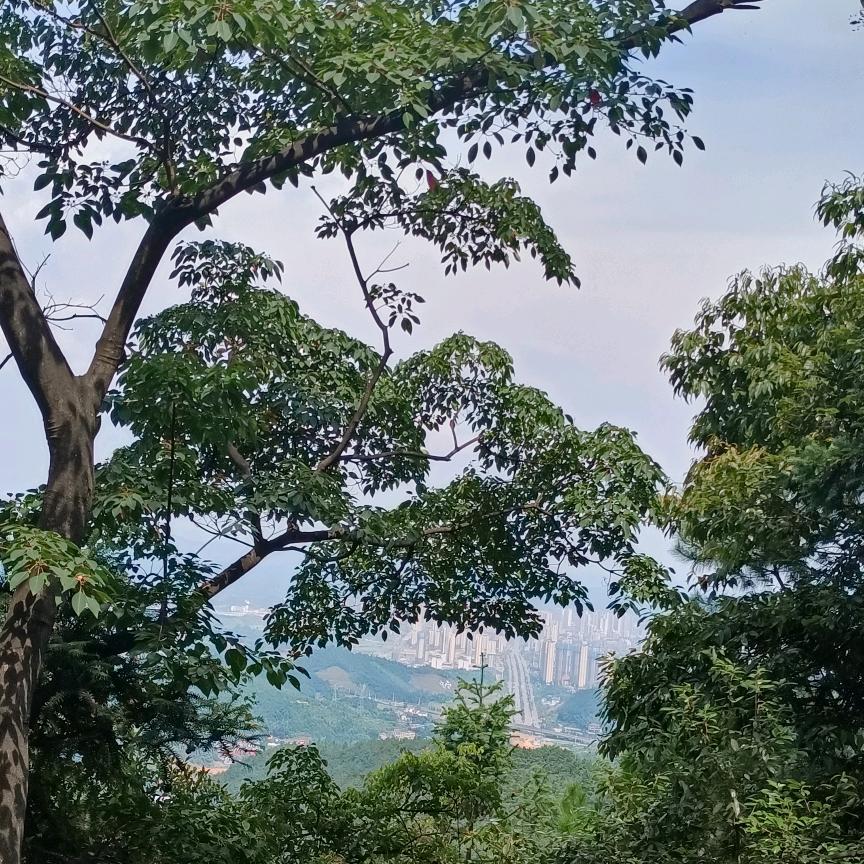 快乐↓