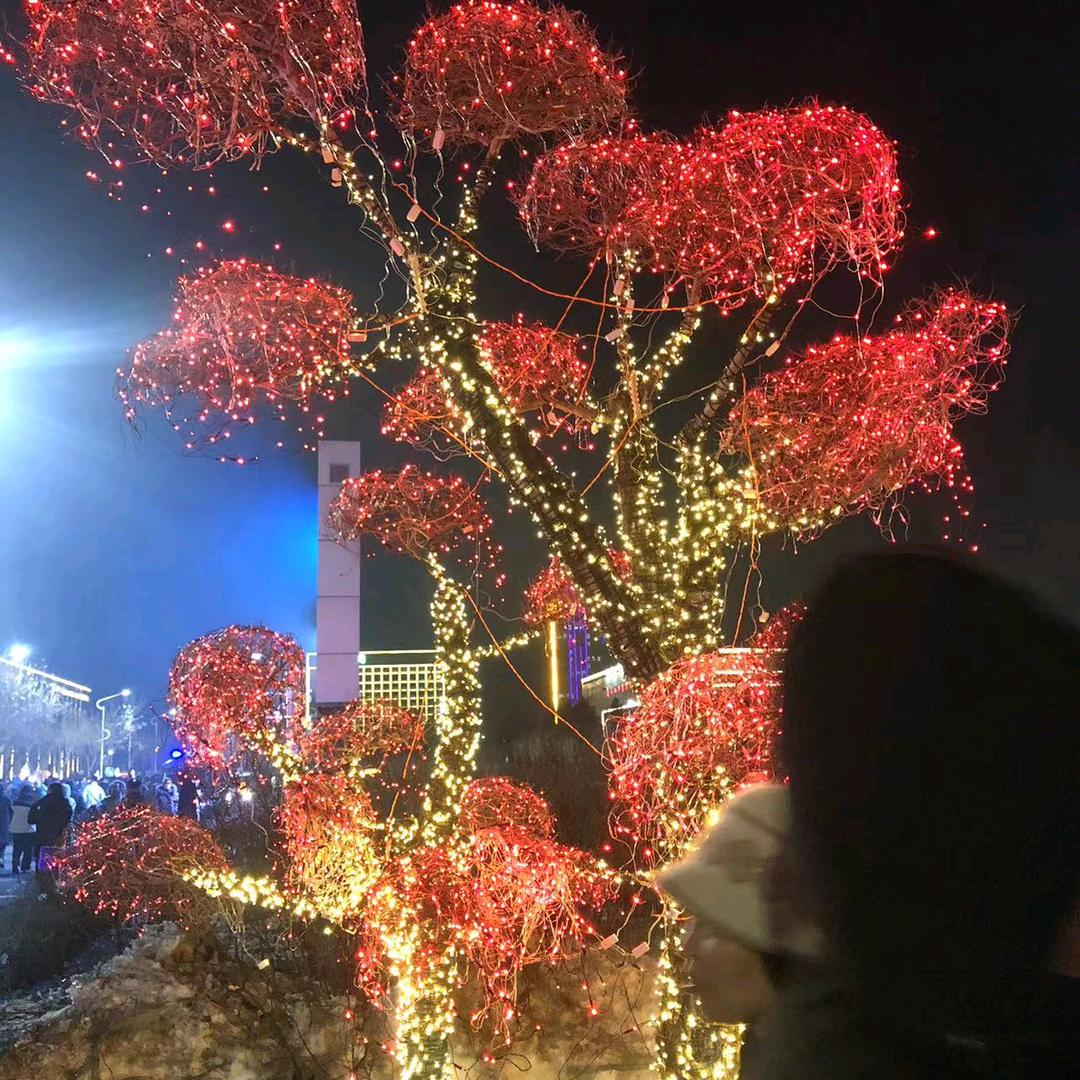 爱无悔