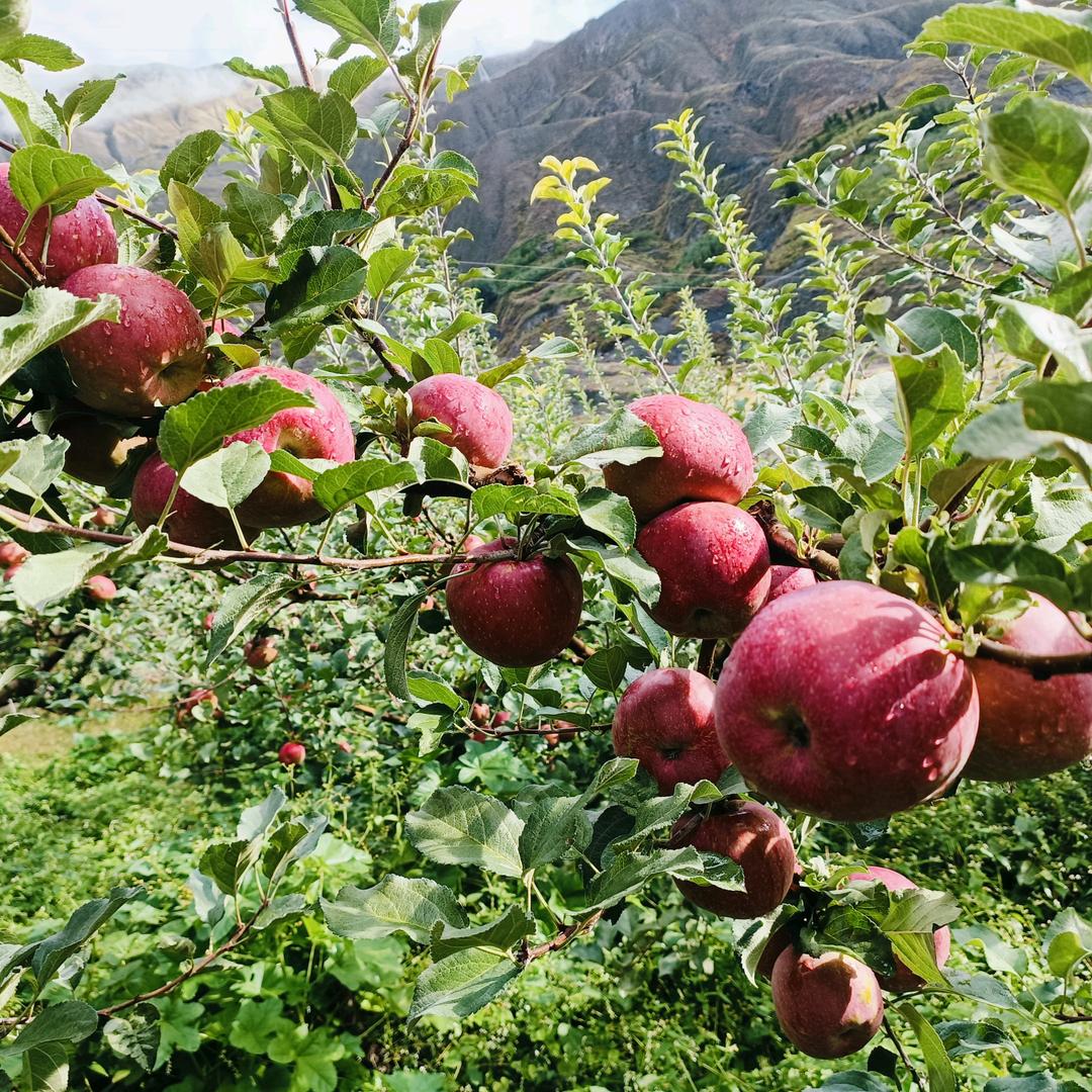 ℳ̶̶̶̶♡̶҉静ℳᥫᩣ