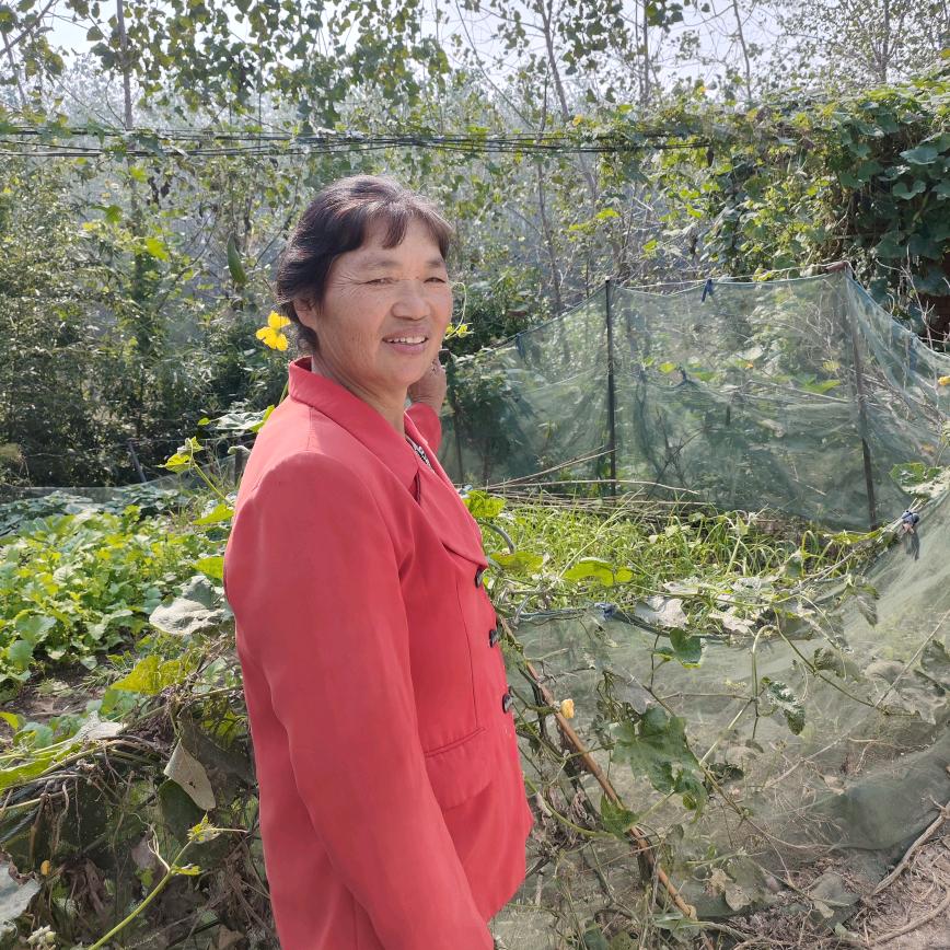 先姐首播（下午15点30分）