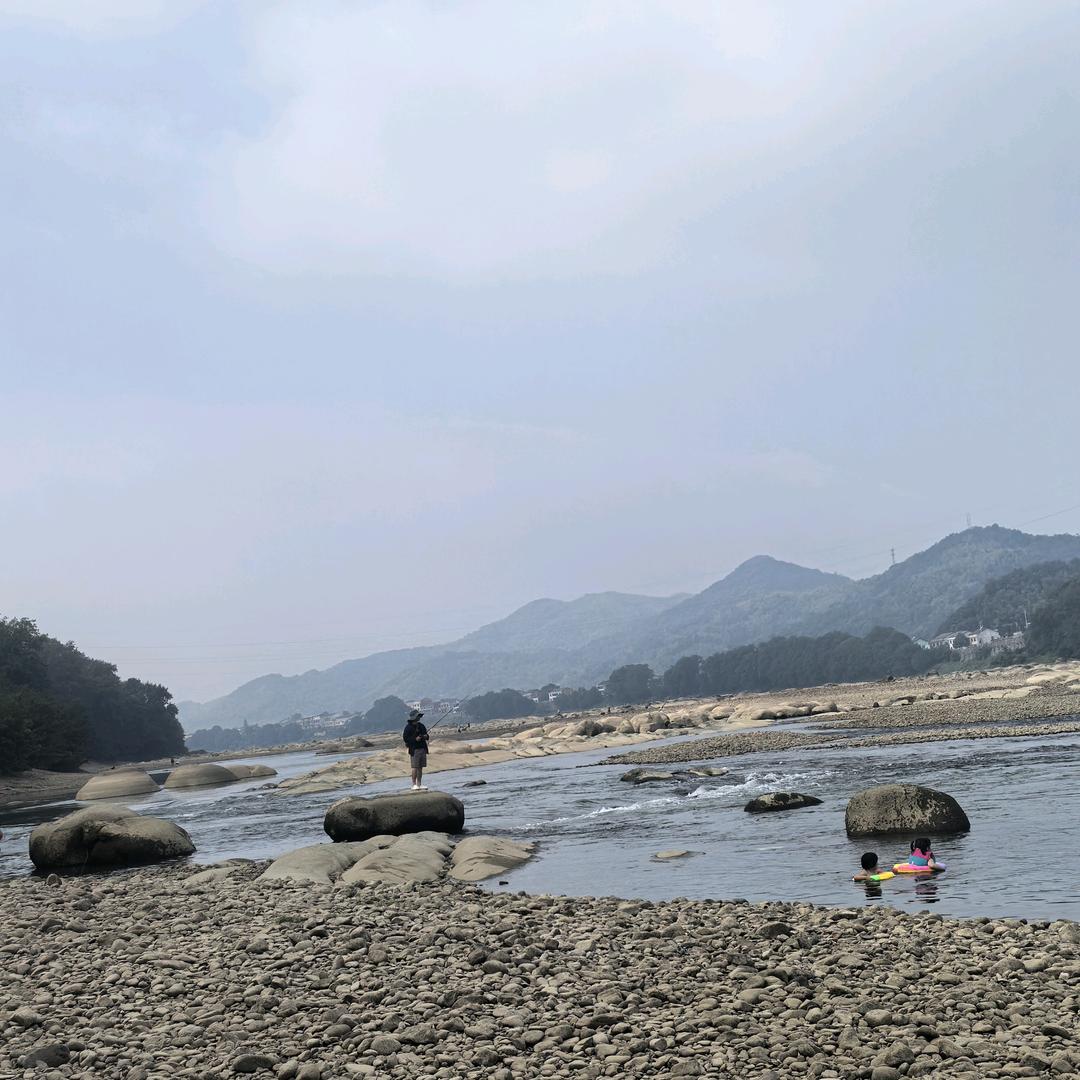 江多鱼