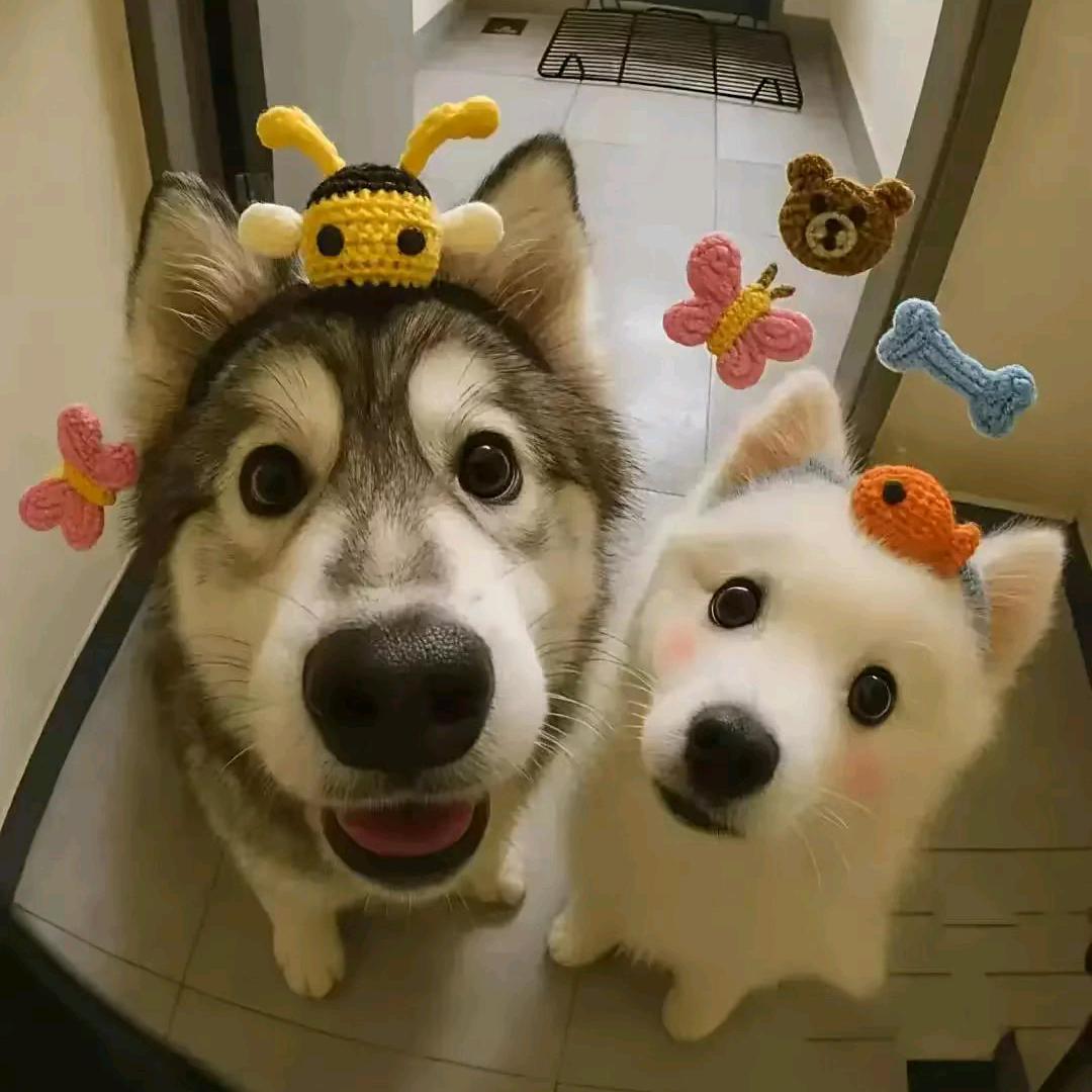 向日