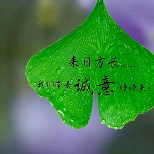 同路人