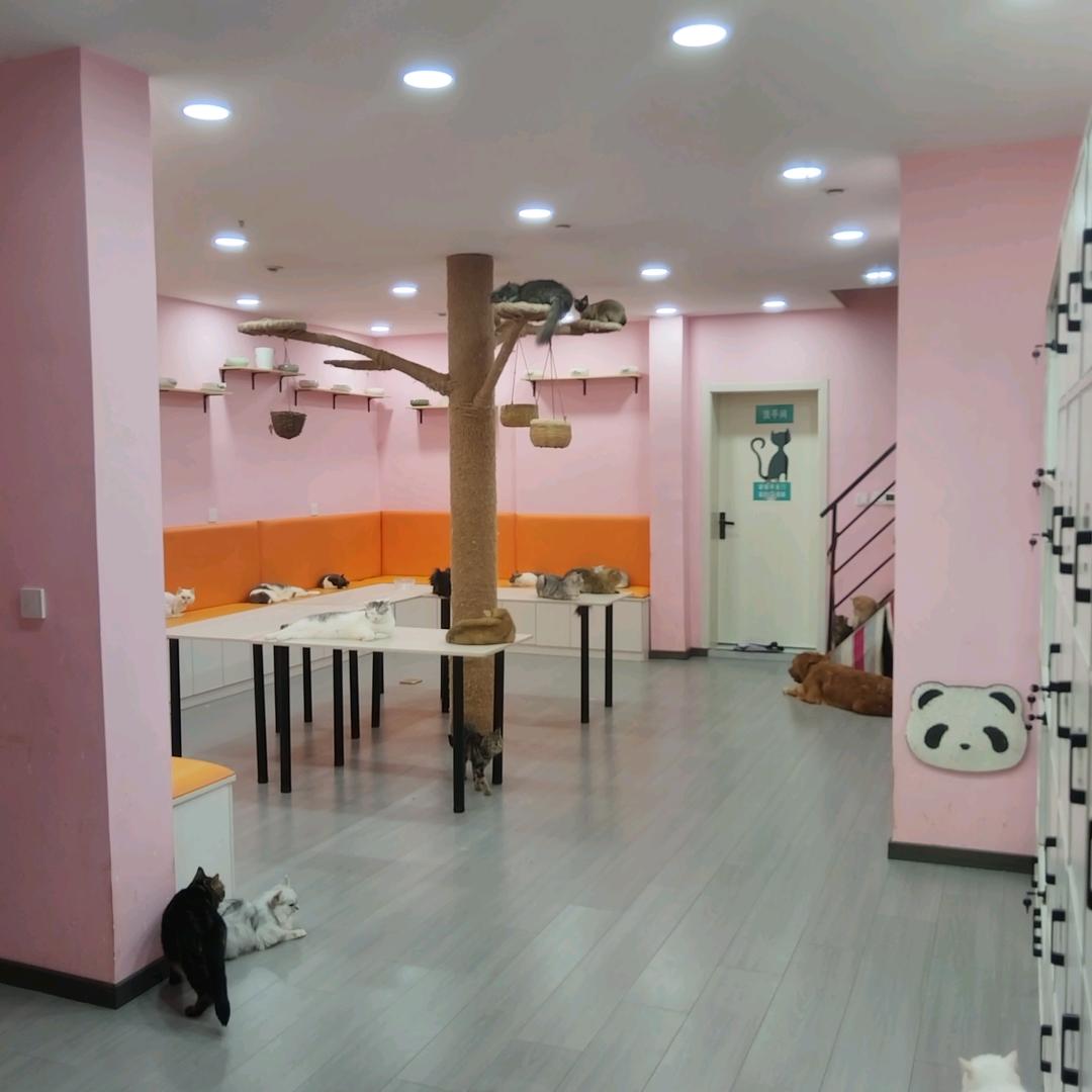 莱宝宠物综合馆