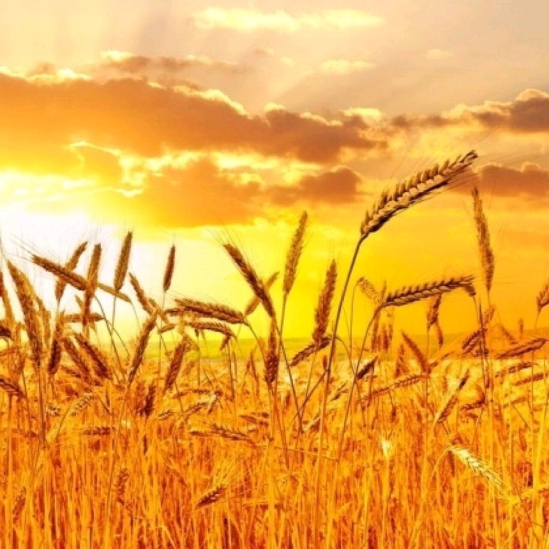 艳丽水暖五金日杂