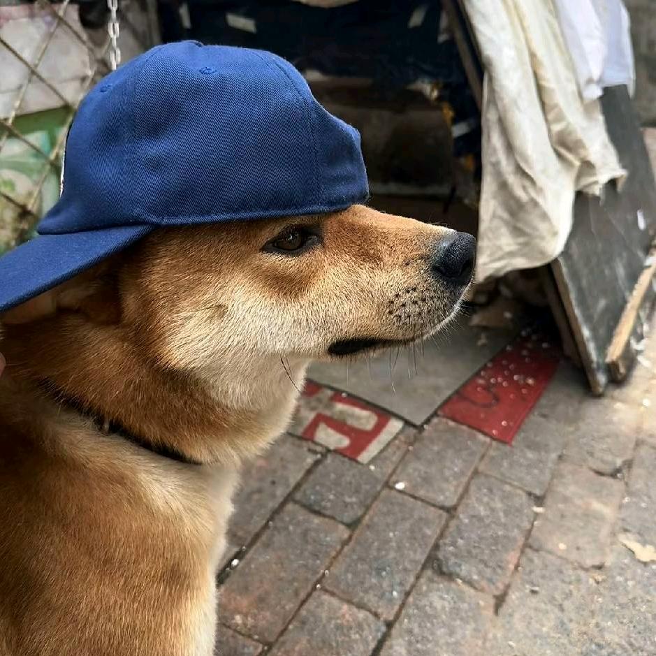李纪卫