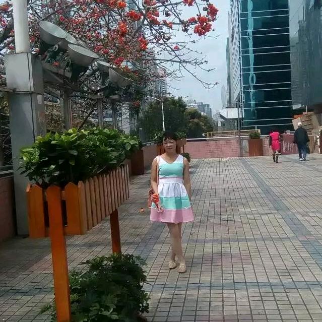 风叶之恋🌹🌺🌺🌺🌺