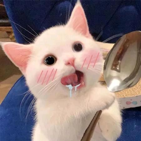 漫天星辰不及你