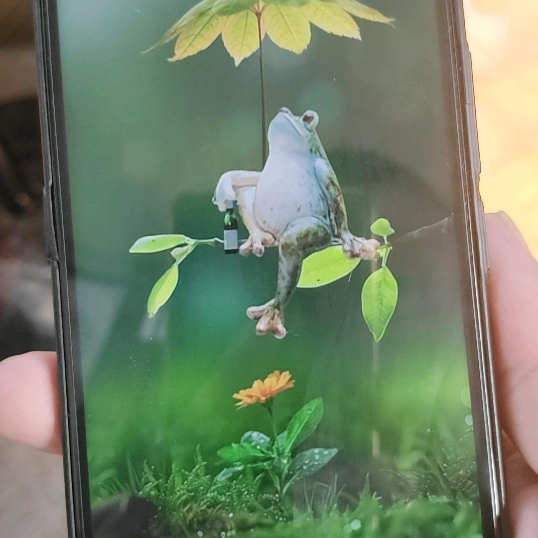 天鹏传媒