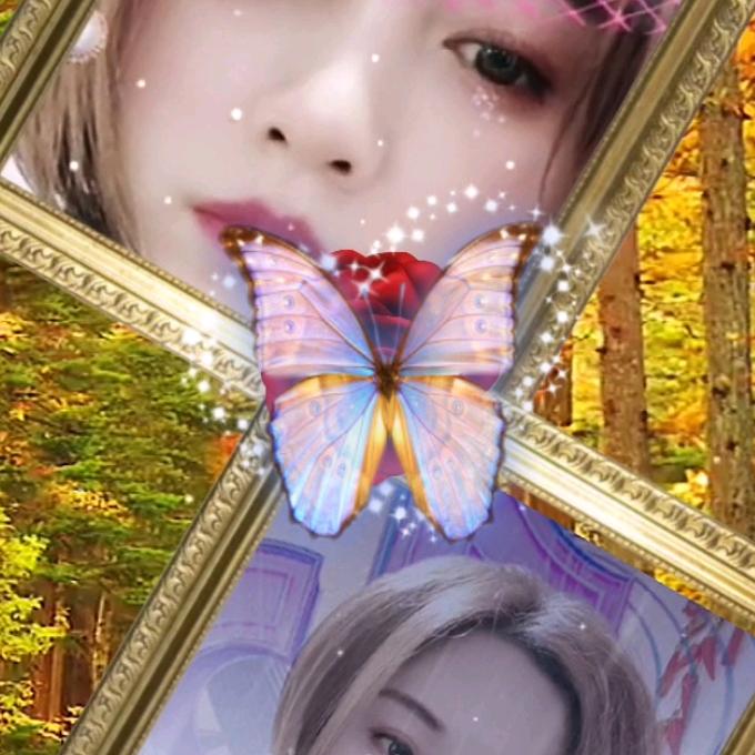 ✧*｡٩(仅此而已)و✧*｡