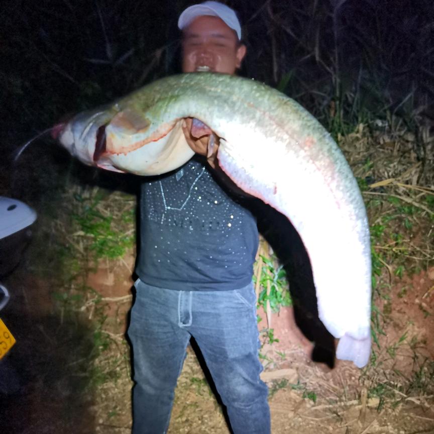 @老王学钓鱼ᯤ⁶ᴳ⁺