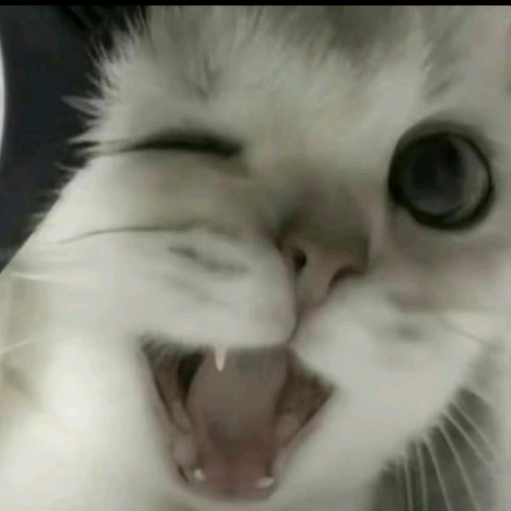 🌈🌈怪盗基德