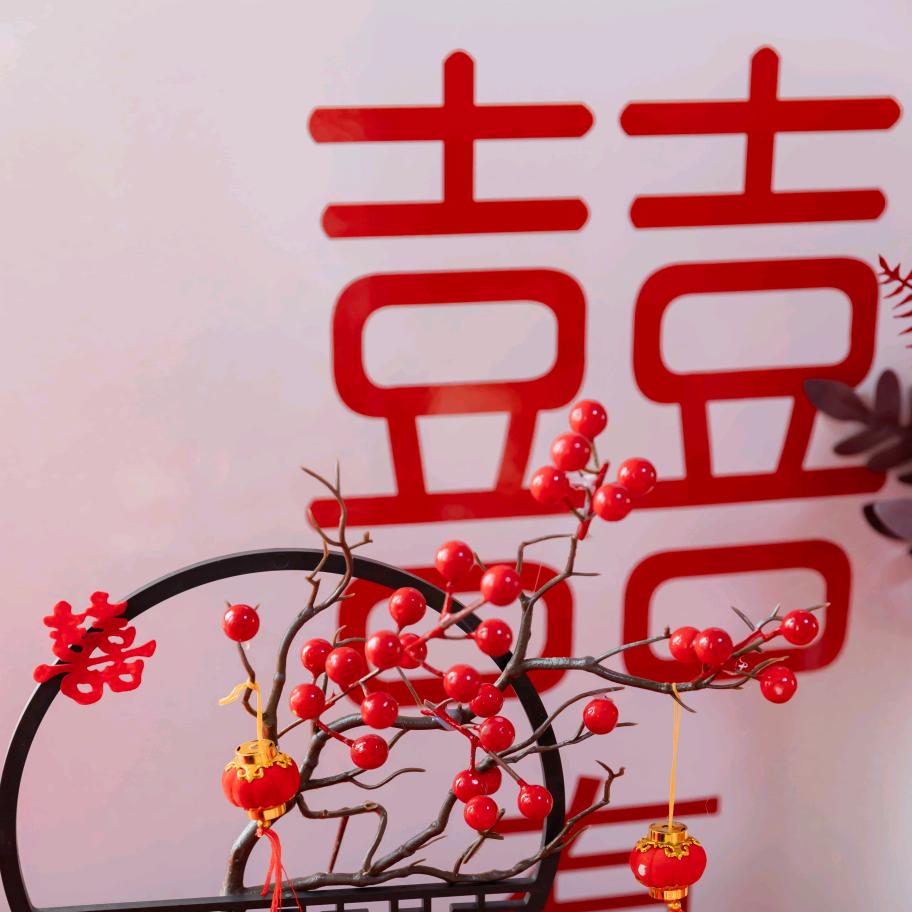 心连心庆典---芳姐