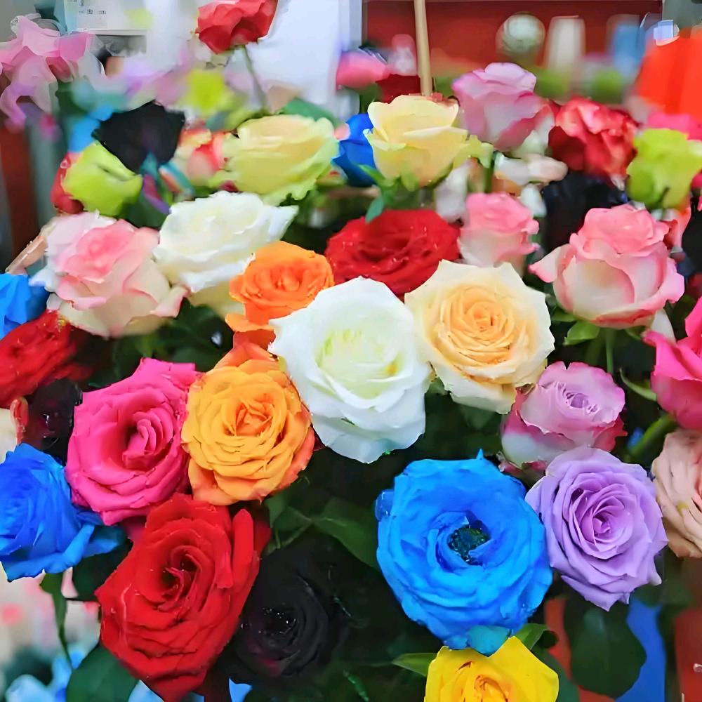 花样百出（云南鲜花直发）