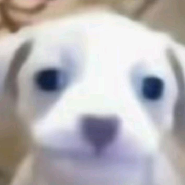 7di