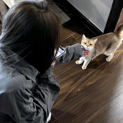 起雾