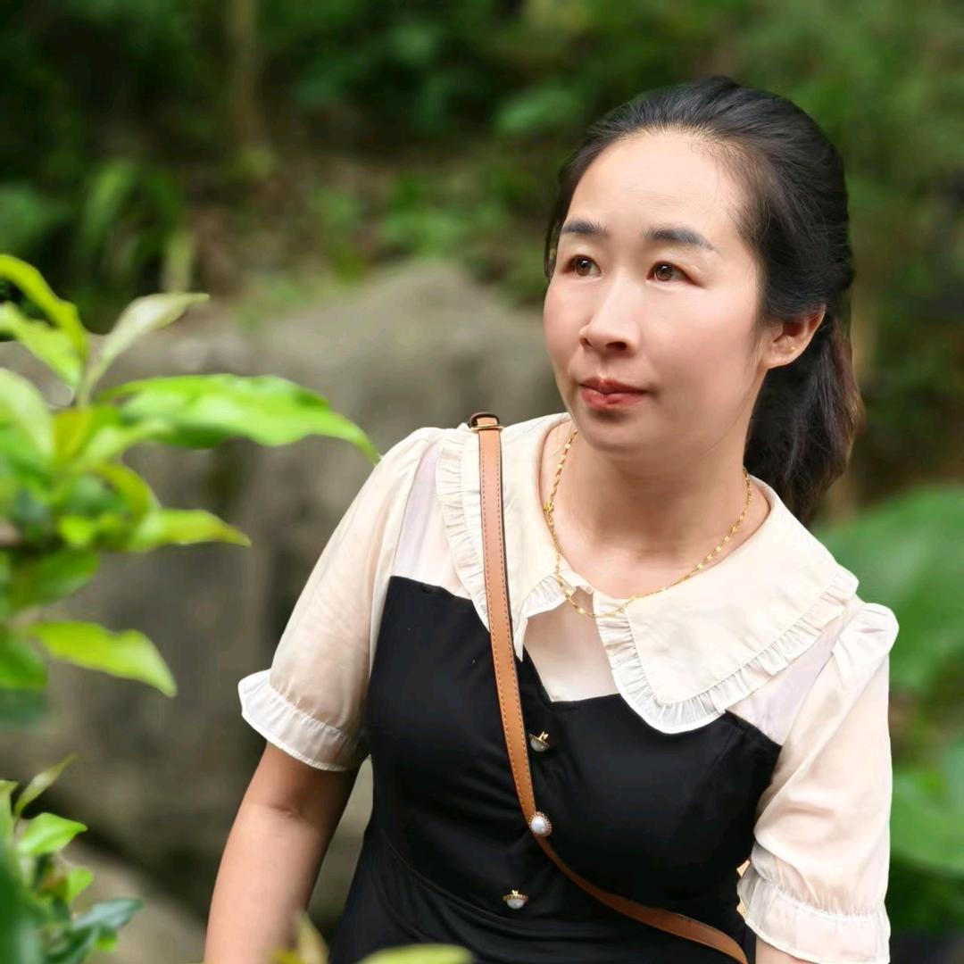 燕子的生活仓