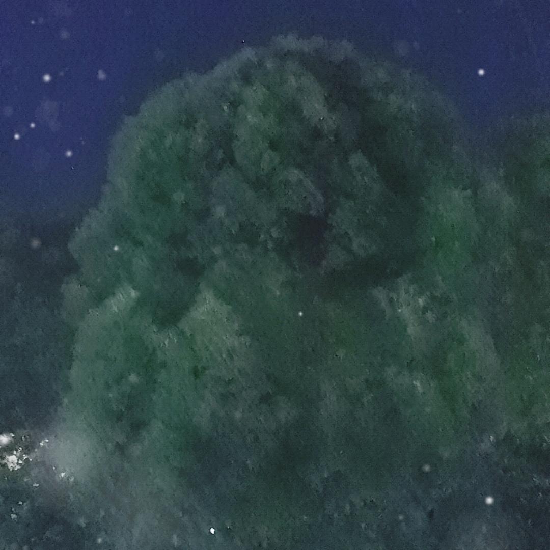开心玩游戏