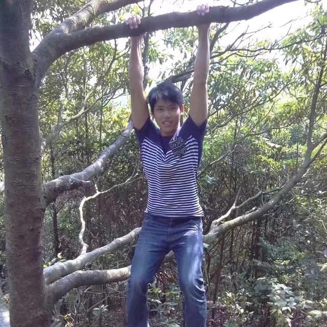 鹏万里