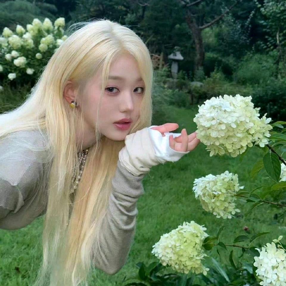 钱来钱来钱从四面八方来