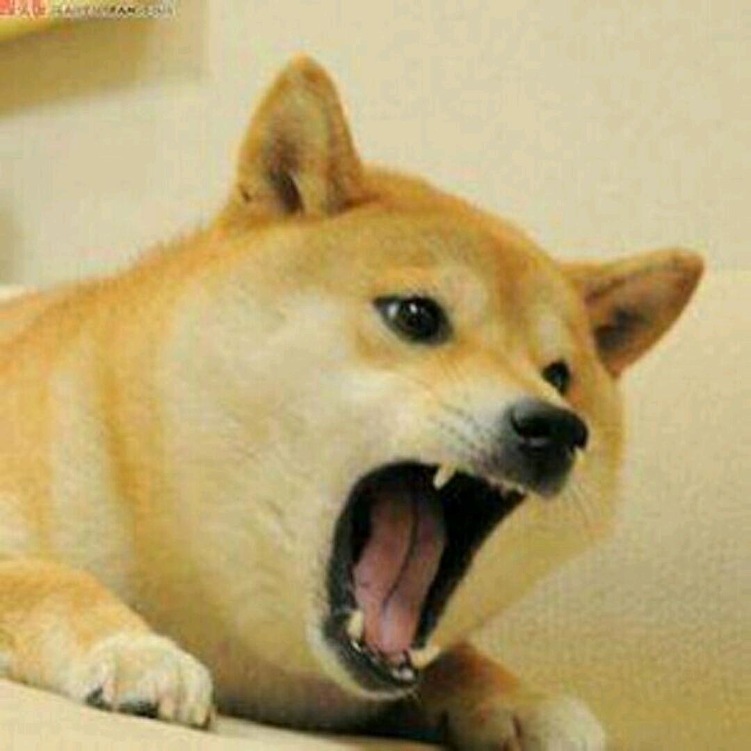 哑巴湖大水怪