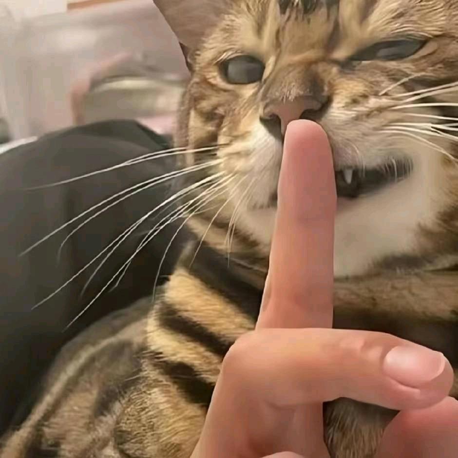 曹sir