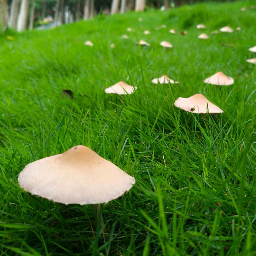 悦心᭄໊꧔ꦿ悦己᭄