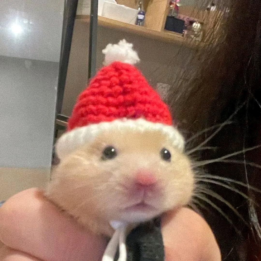 大大泡泡爱跑刀（三角洲行动）