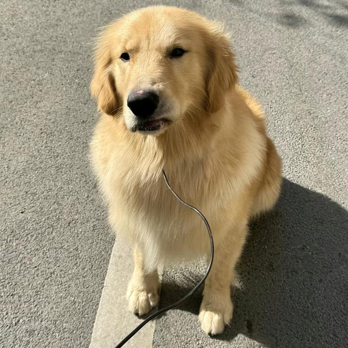 今晚早点睡